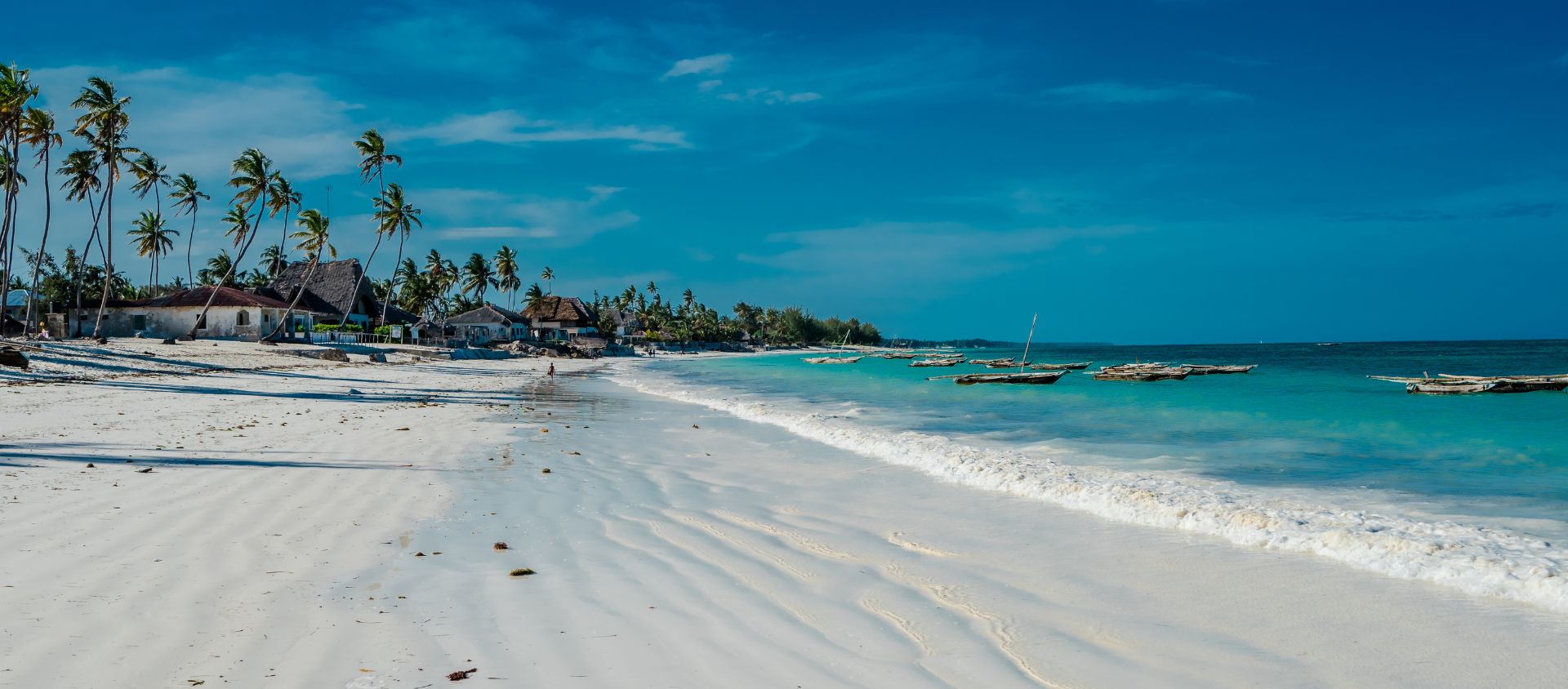 pluie tanzanie saison