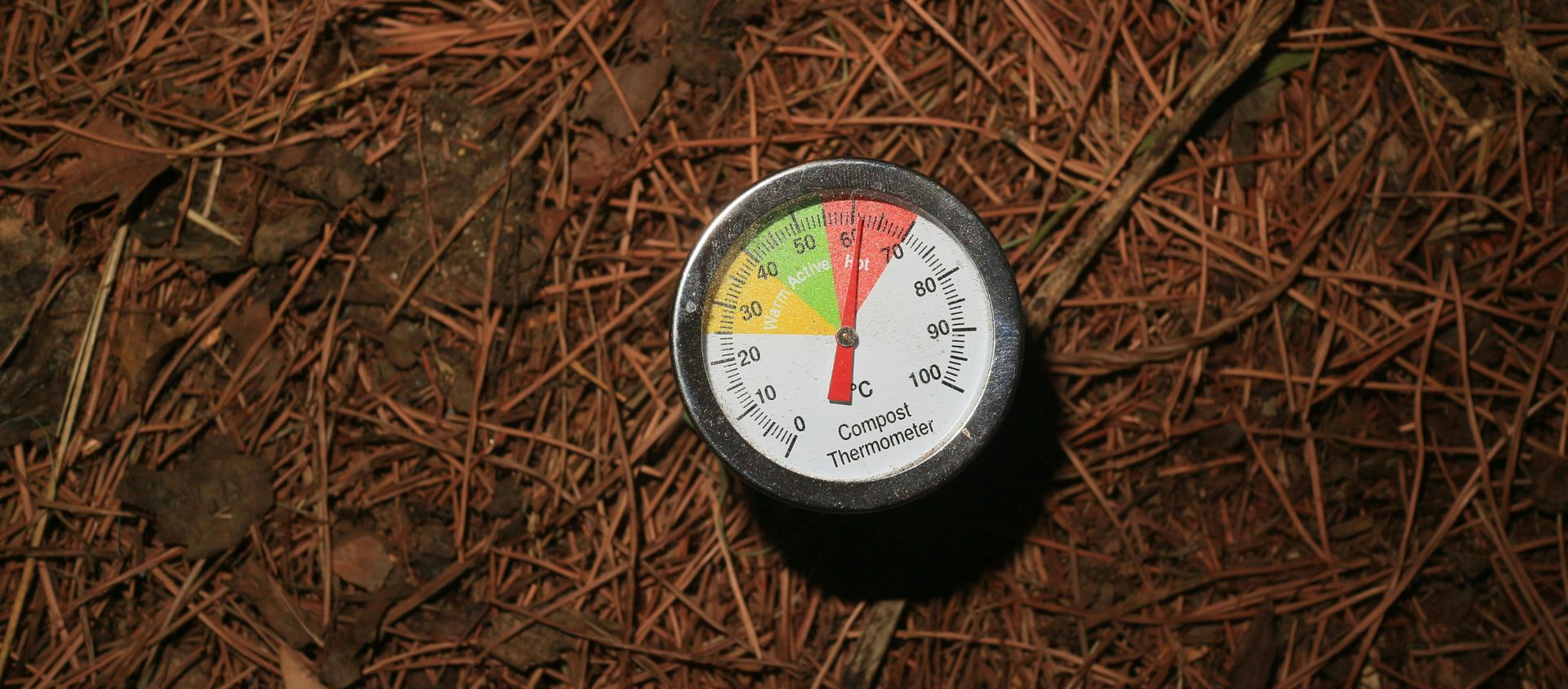 thermomètre à compost