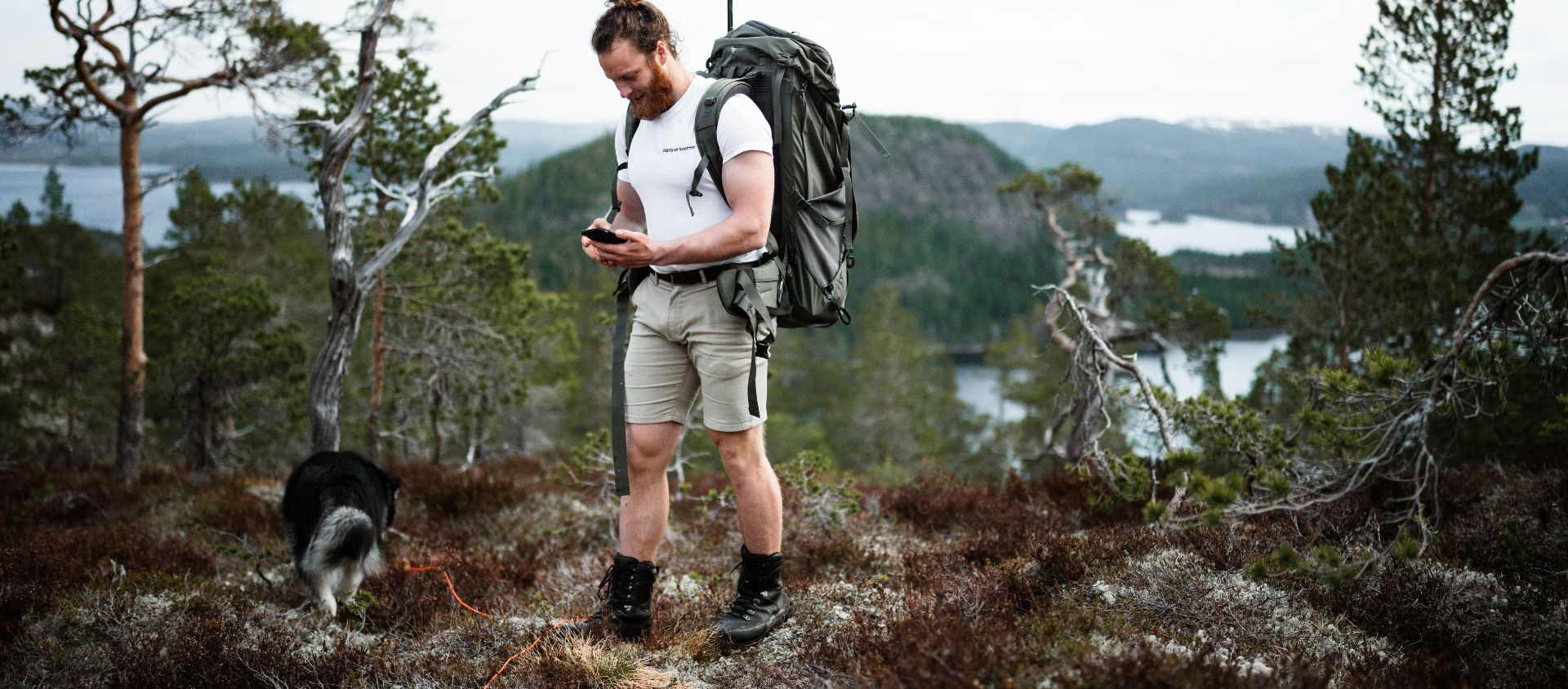 Randonnée avec chien equipement règles, équipement, conseils