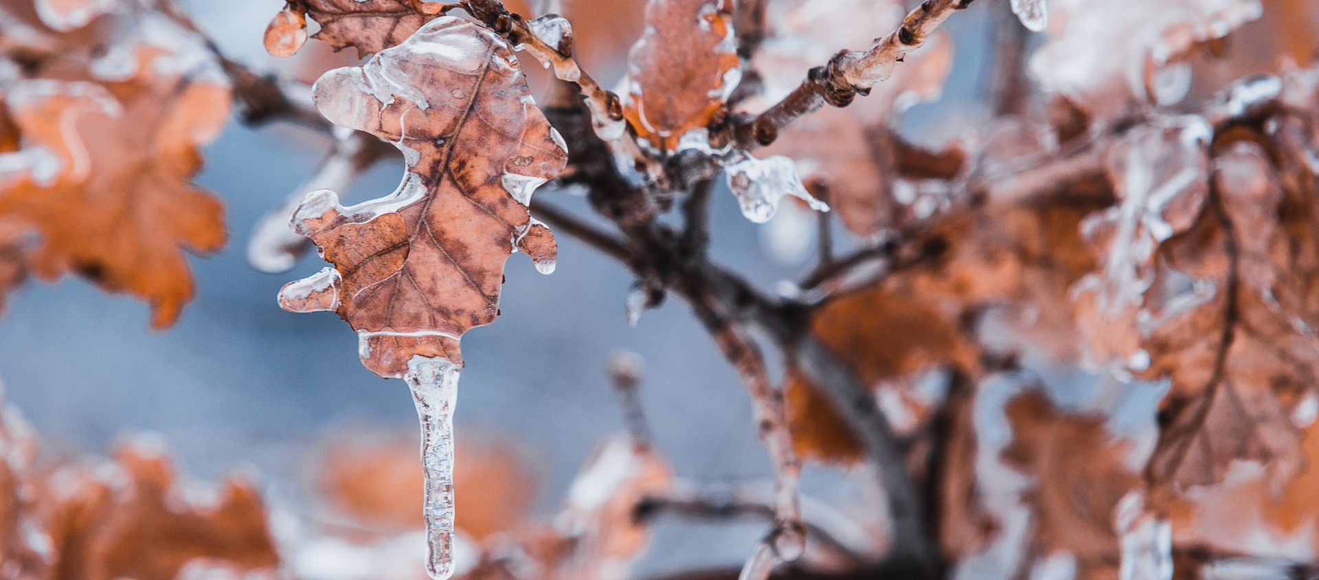 meteo montagne randonnee trekking