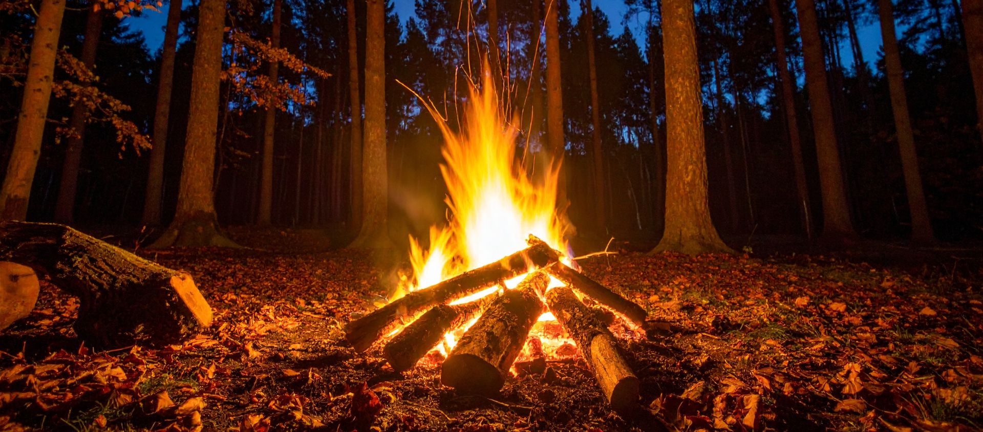 Comment camper sans laisser de trace - feu de camp