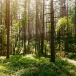 Randonnée & écologie : bonnes pratiques pour 2026