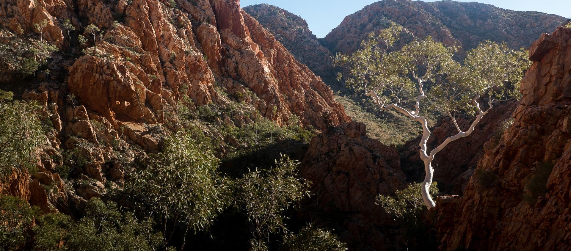 piste Larapinta en Australie