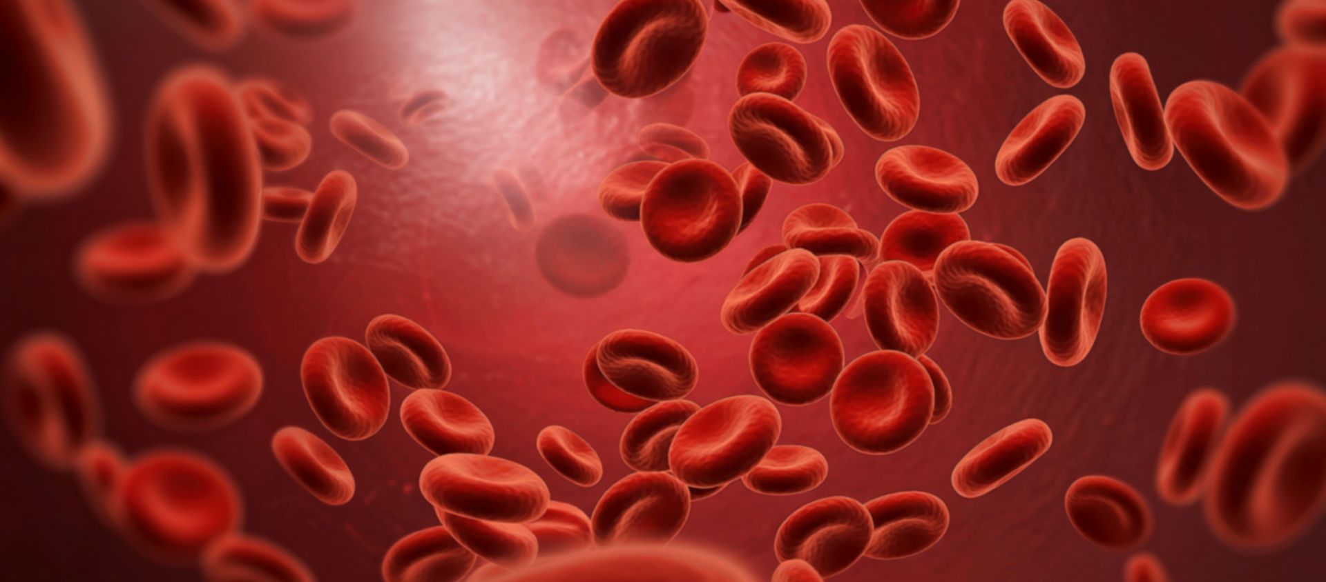 randonnee cardiovasculaire