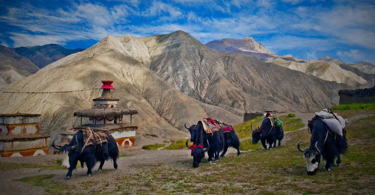 5 treks les plus isolés du Népal pour 2026