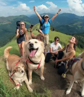 Groupe de personnes avec des chiens heureux. Le guide complet des règlements concernant les chiens en forêt et montagne : 10 infos clés