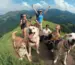 Groupe de personnes avec des chiens heureux. Le guide complet des règlements concernant les chiens en forêt et montagne : 10 infos clés