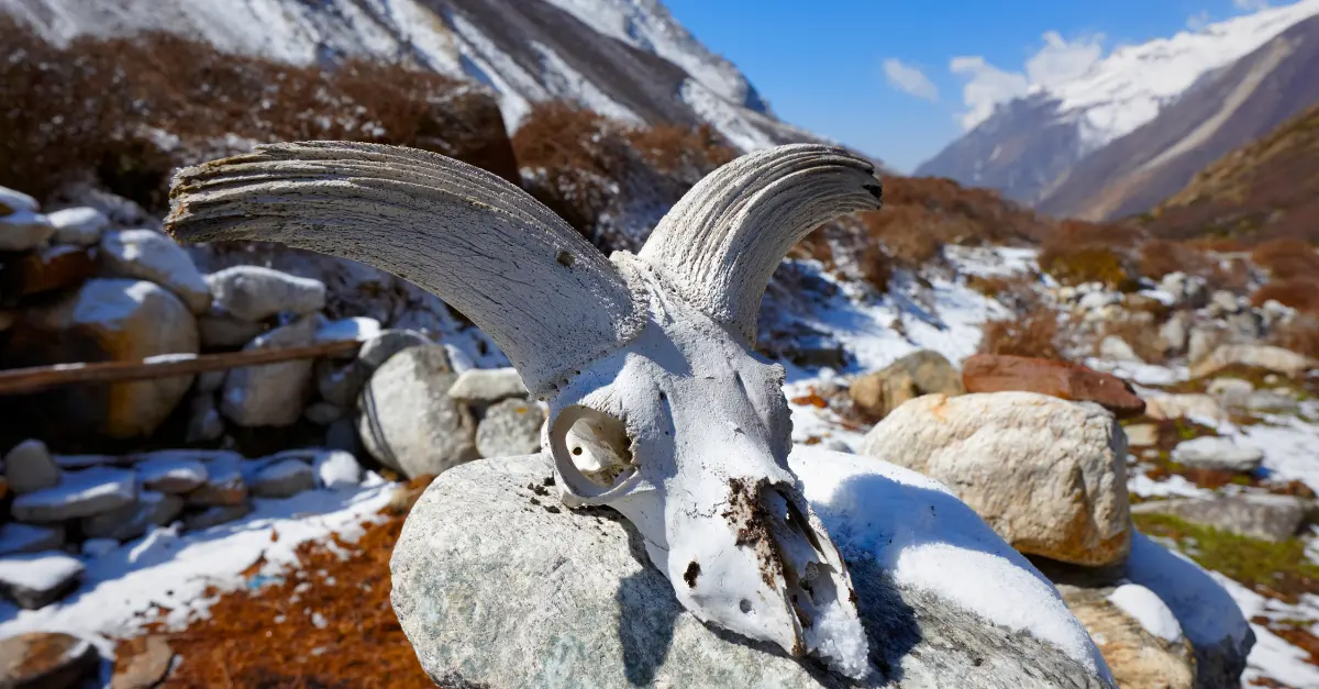 circuit de Kanchenjunga