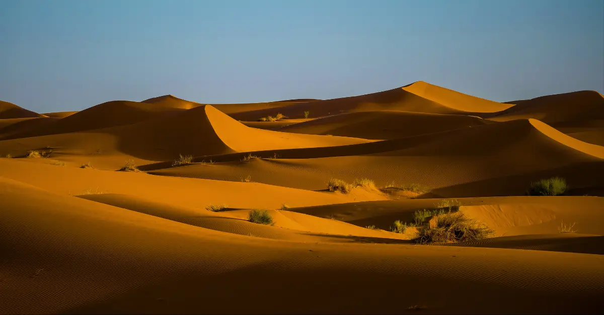 Alice Morrison en Arabie saoudite : 2 200 km à pied à travers le désert