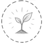 Naissance du projet outdoor
