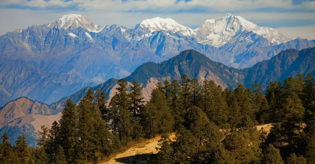Parc national de Khaptad : pourquoi ce sanctuaire népalais mérite le détour
