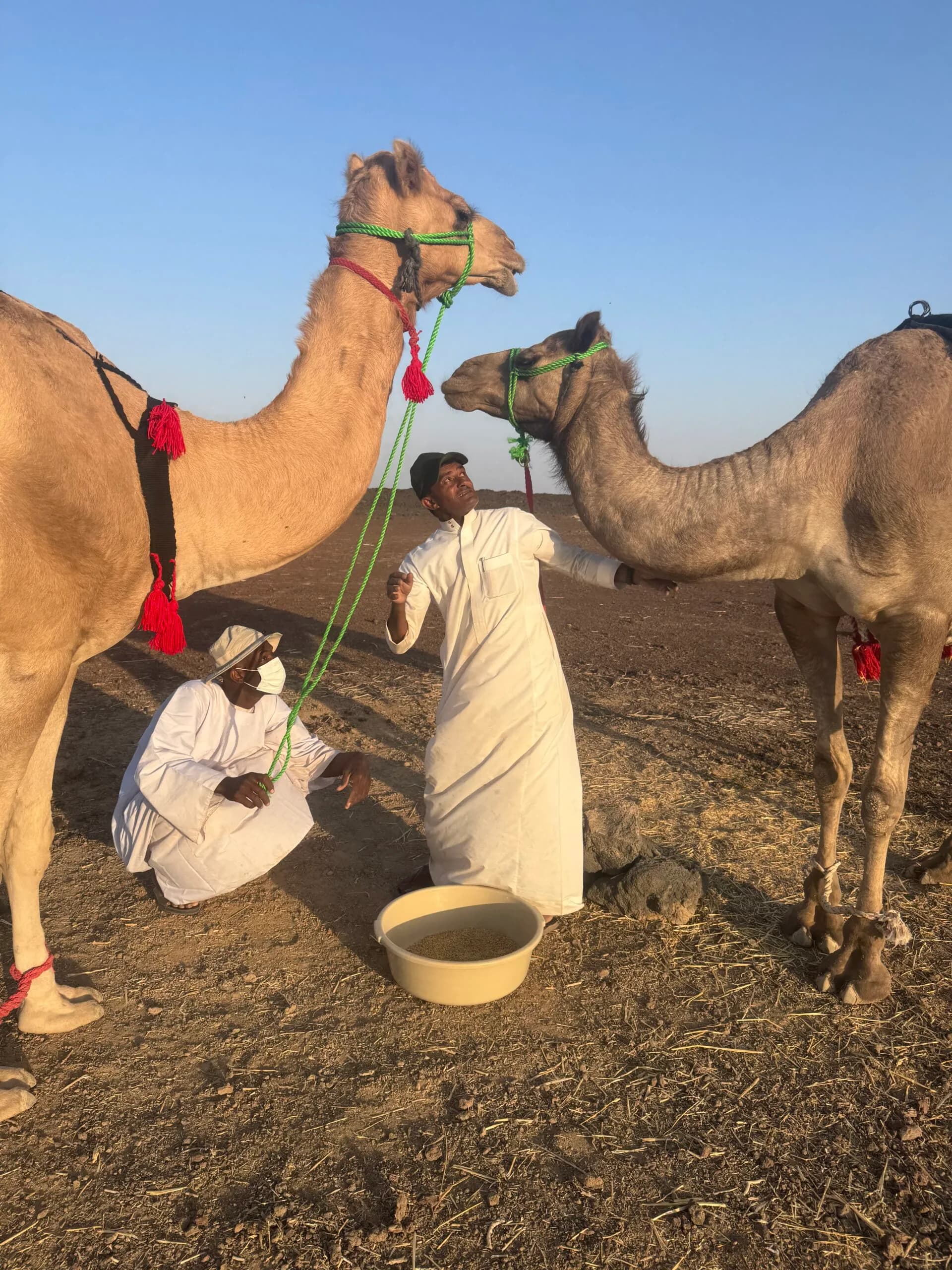 arabie-soudite-voyage-desert