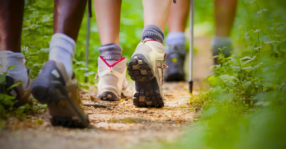 Chaussures de trek basses vs montantes : Le verdict pour le Népal