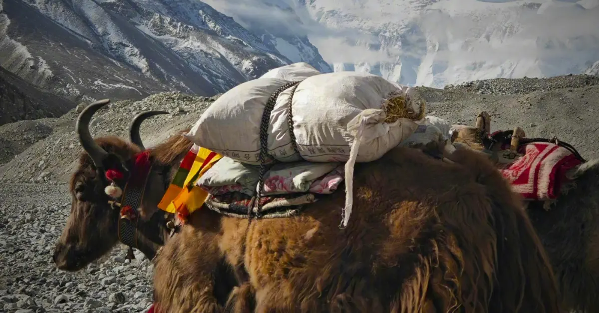 Pheriche nepal