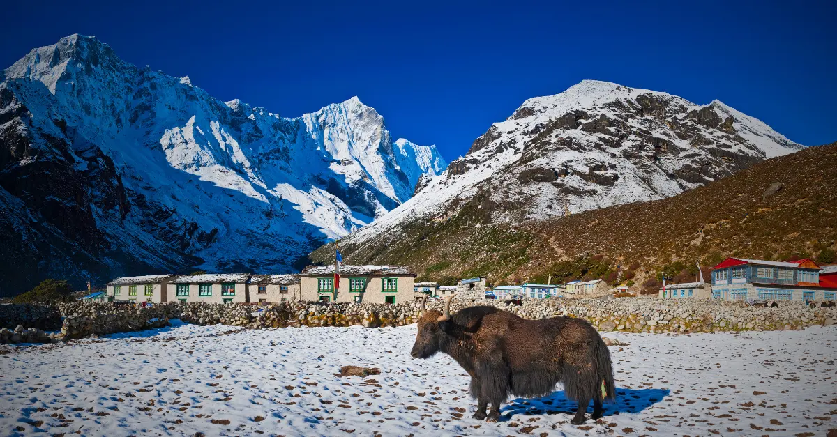 Vie en haute altitude au Népal : comment survivent vraiment ces villages isolés
