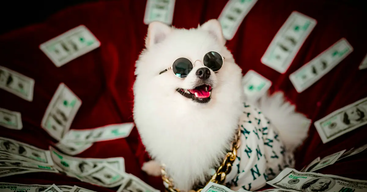 Traveling to Nepal money dog