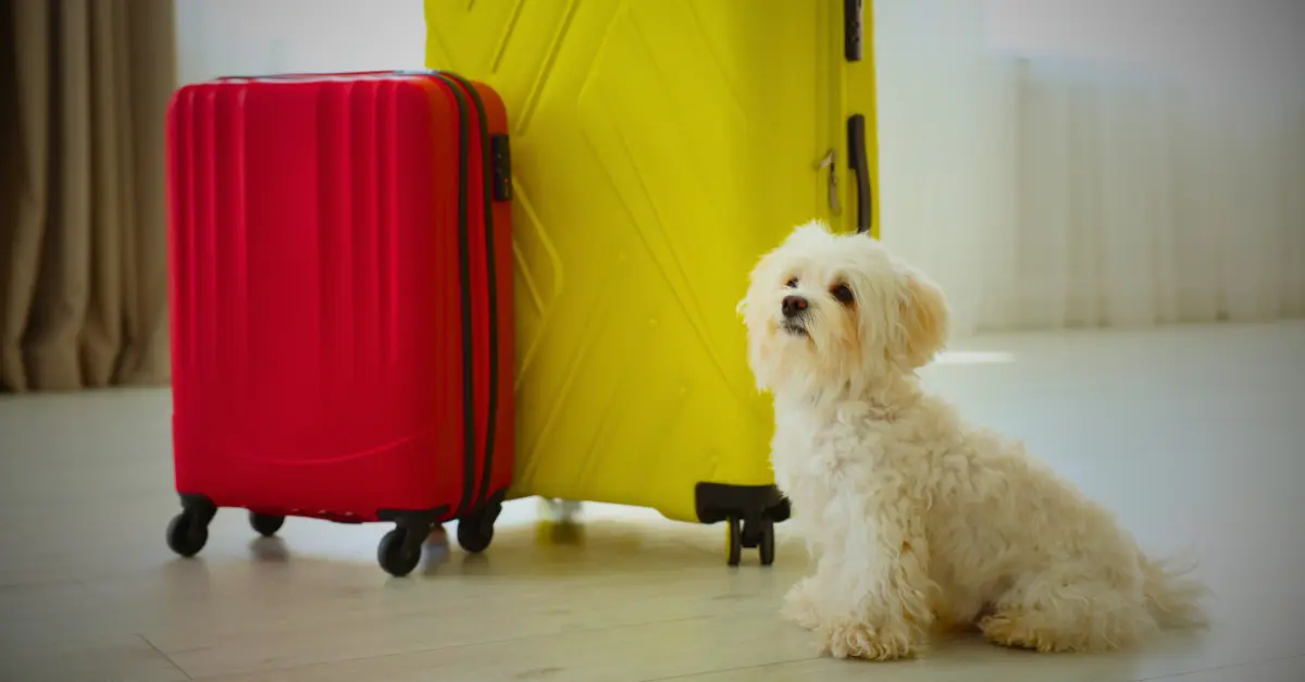 Traveling to Nepal with your own dog