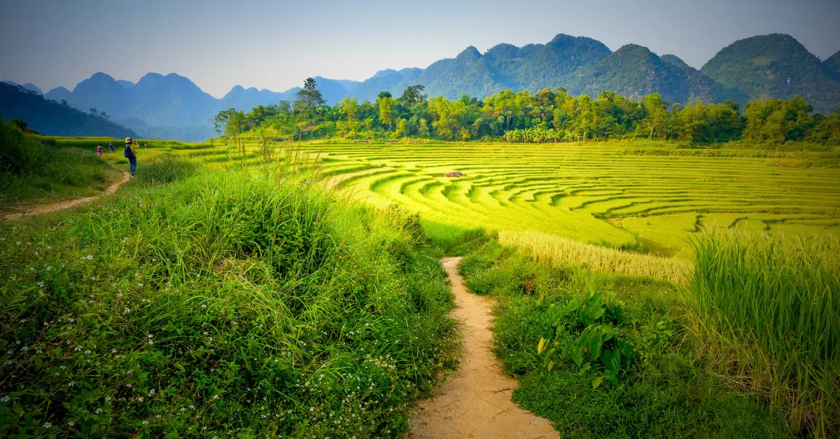 trek dans le nord du Vietnam
