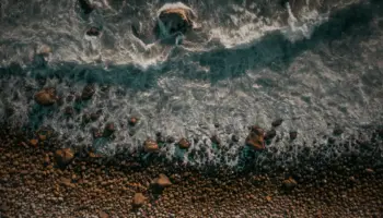 Que faire à Biscarrosse entre lac, forêt et océan