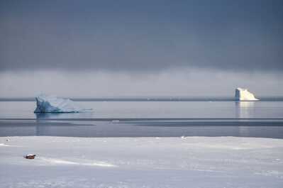 groenland iceberg