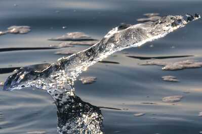 glacon Scoresby groenland