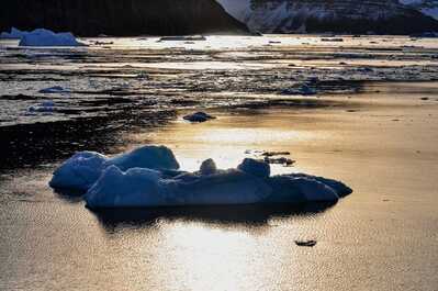 voyager Scoresby groenland