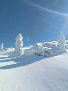 FB IMG 1766007638011 FB IMG 1766007638011