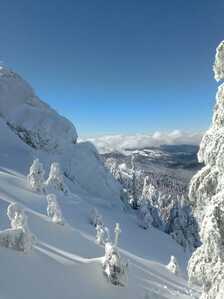 FB IMG 1766007635709 FB IMG 1766007635709