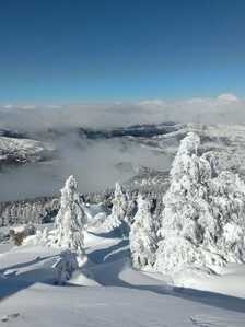 FB IMG 1766007633237 FB IMG 1766007633237