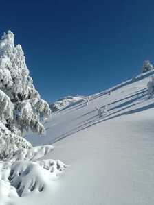 FB IMG 1766007627284 FB IMG 1766007627284