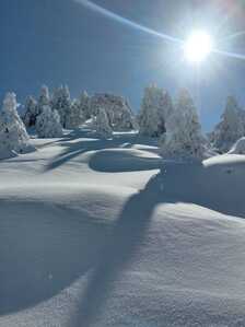 FB IMG 1766007624913 FB IMG 1766007624913