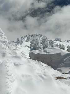 FB IMG 1766007606797 FB IMG 1766007606797